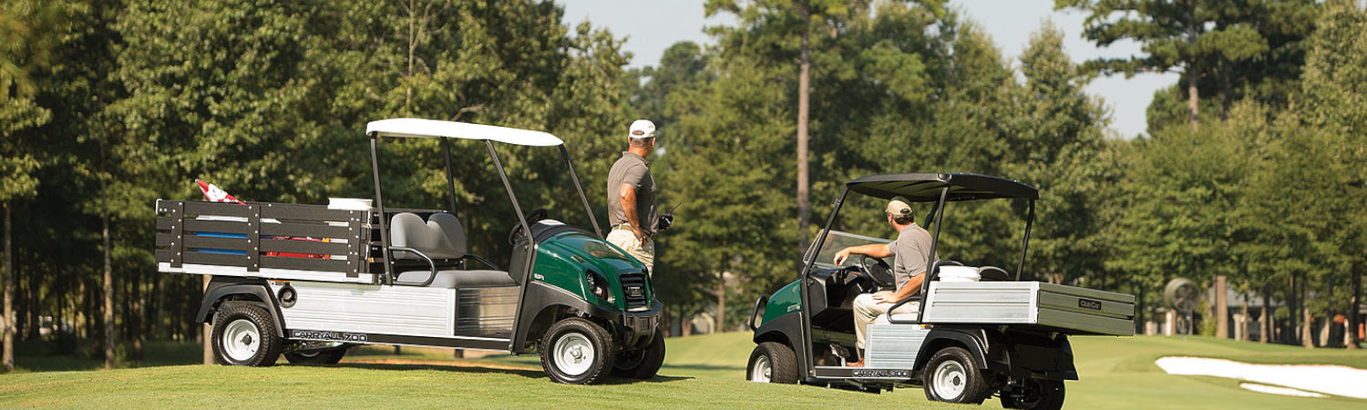 Two men observing the golf course from their golf cars.  